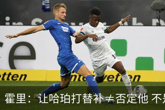 霍里：让哈珀打替补≠否定他 不是说他不是超巨&他正在路上！